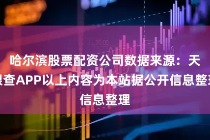 哈尔滨股票配资公司数据来源：天眼查APP以上内容为本站据公开信息整理